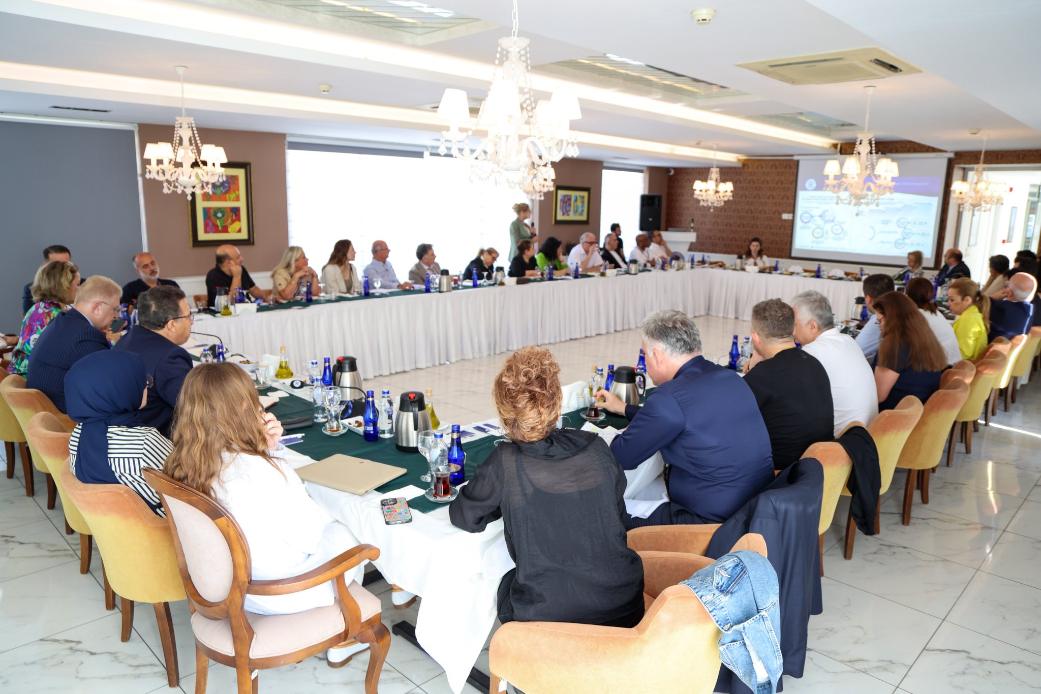 https://en.mustafaaydin.com/wp-content/uploads/2026/07/IAU.jpg